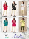 Amelia By Blue Hills Lucknavi Work Rayon Short Kurtis Wholesale Shop In Surat